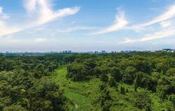 Pinetree Hill (D21), Condominium #407019641